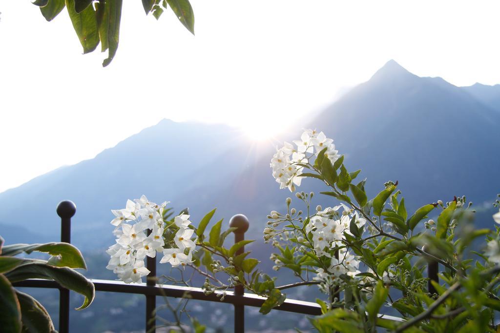 Hotel Alpenrose Scena Esterno foto